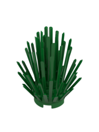 BUSH