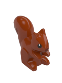 SQUIRREL; NO. 4