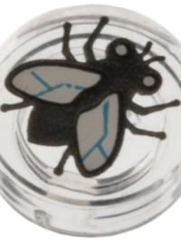 Mosca 1x1