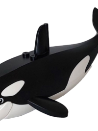 Orca